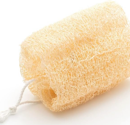 Sustainable Items you can get on Amazon