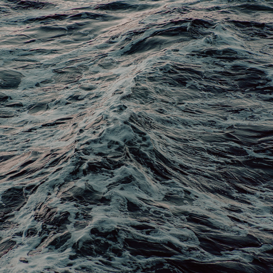 5 Simple Ways to Protect Our Oceans