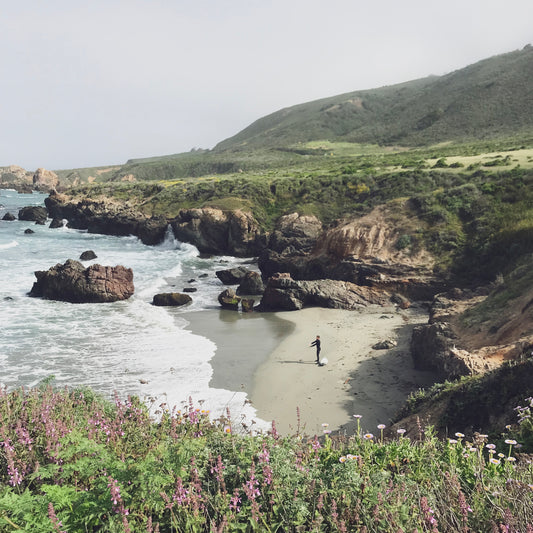 Big Sur on the south end